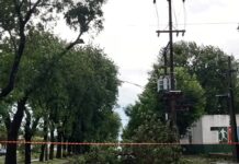 El temporal dejó su marca en Suipacha