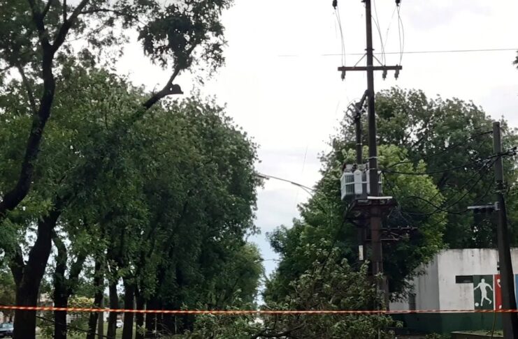 El temporal dejó su marca en Suipacha