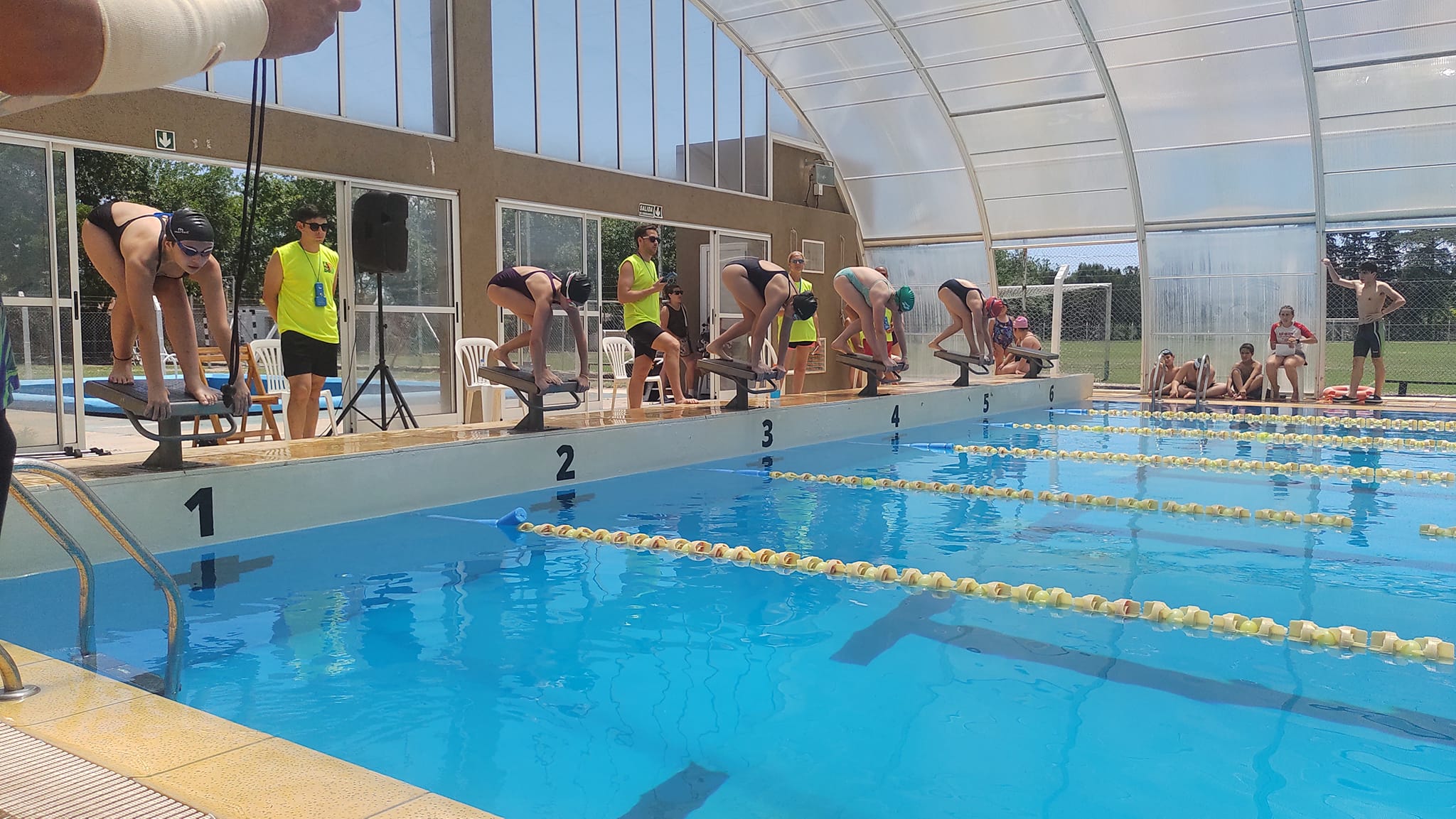 Natacion 03