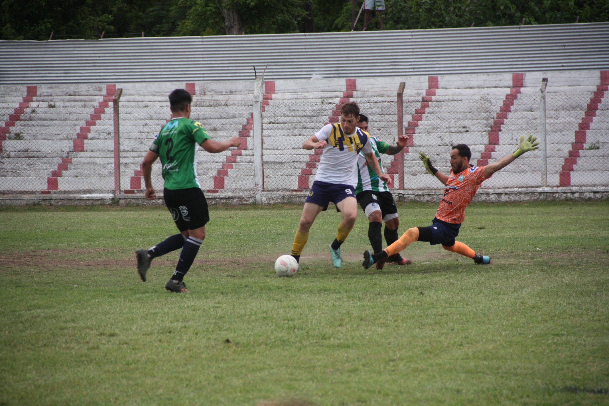 segunda IMG_3552