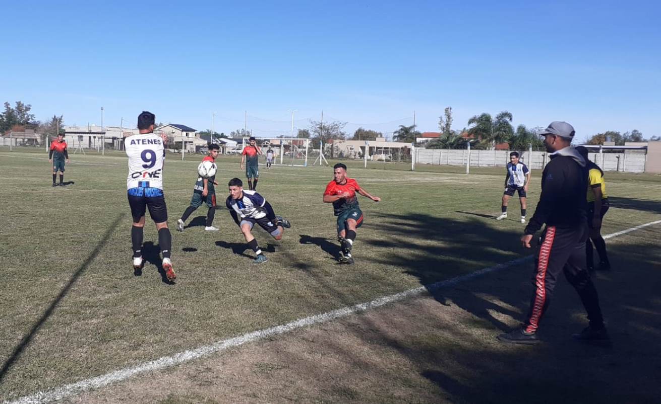 Segunda - Gowland