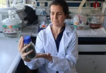 Científica nacida en Mercedes lidera innovador proyecto en Barcelona