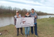 A río revuelto…