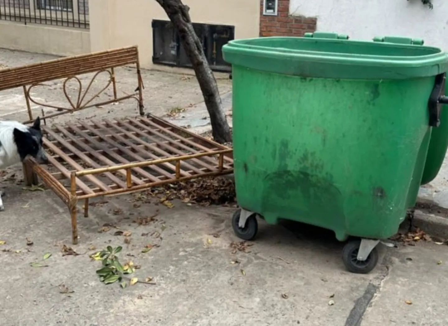 05-01-26 BASURA RUTA_21_11zon