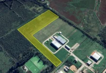 Municipio lanza licitación para la apertura de calles dentro del Parque Industrial
